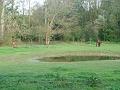 Wandeling 22-10-2017 (22)